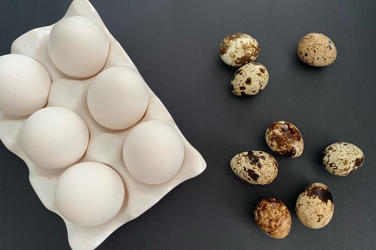 Chicken eggs in a carton beside speckled quail eggs