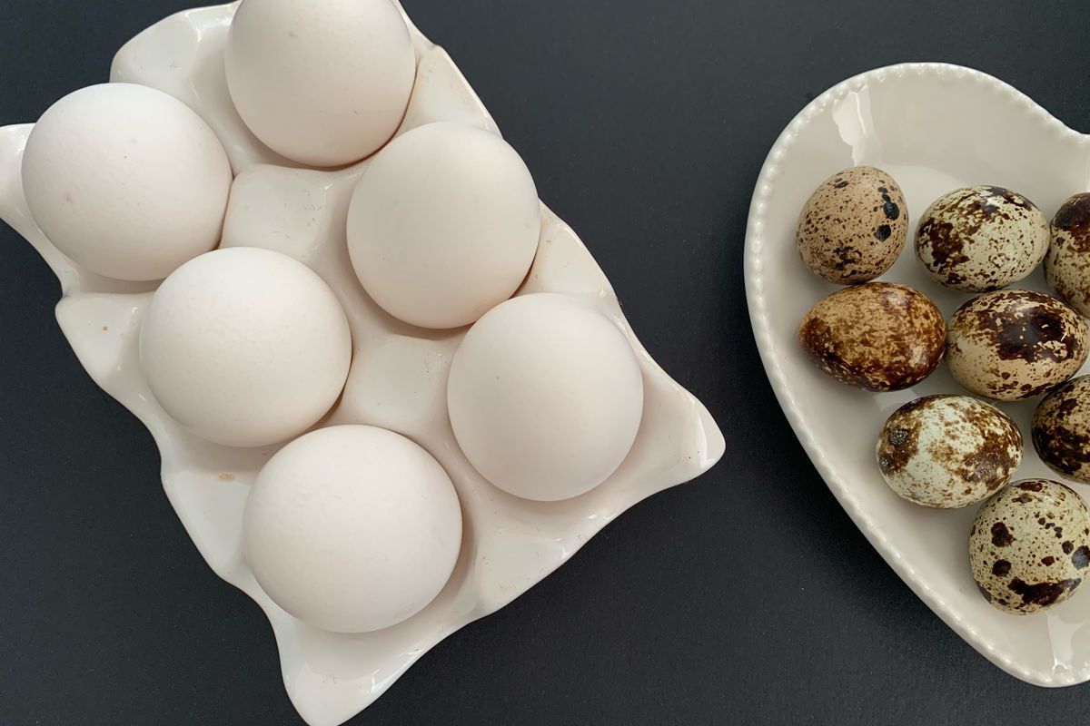 Chicken eggs and quail eggs laid out on white trays