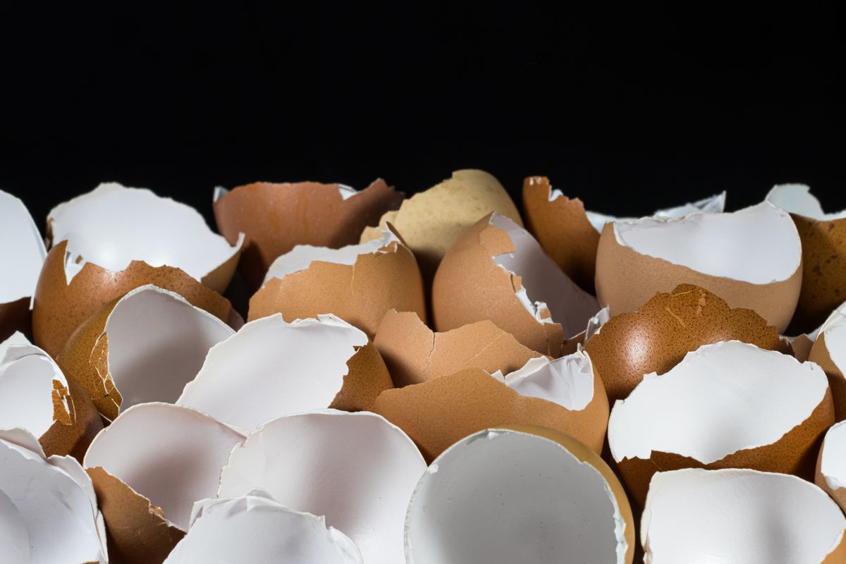 Empty eggshells