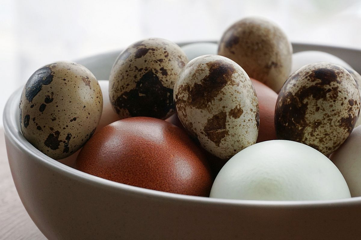 Quail eggs and chicken eggs together in a brown ceramic bowl