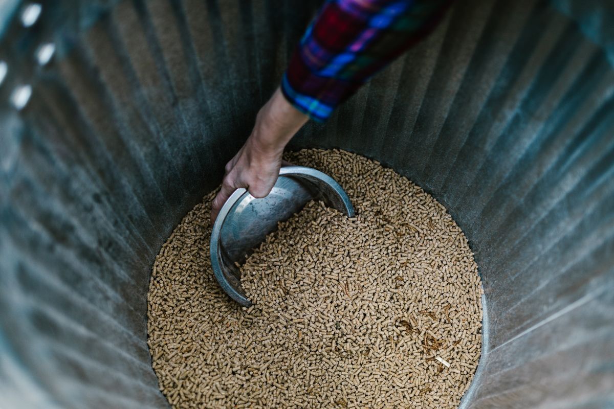 A hand scooping feed from a metal bin