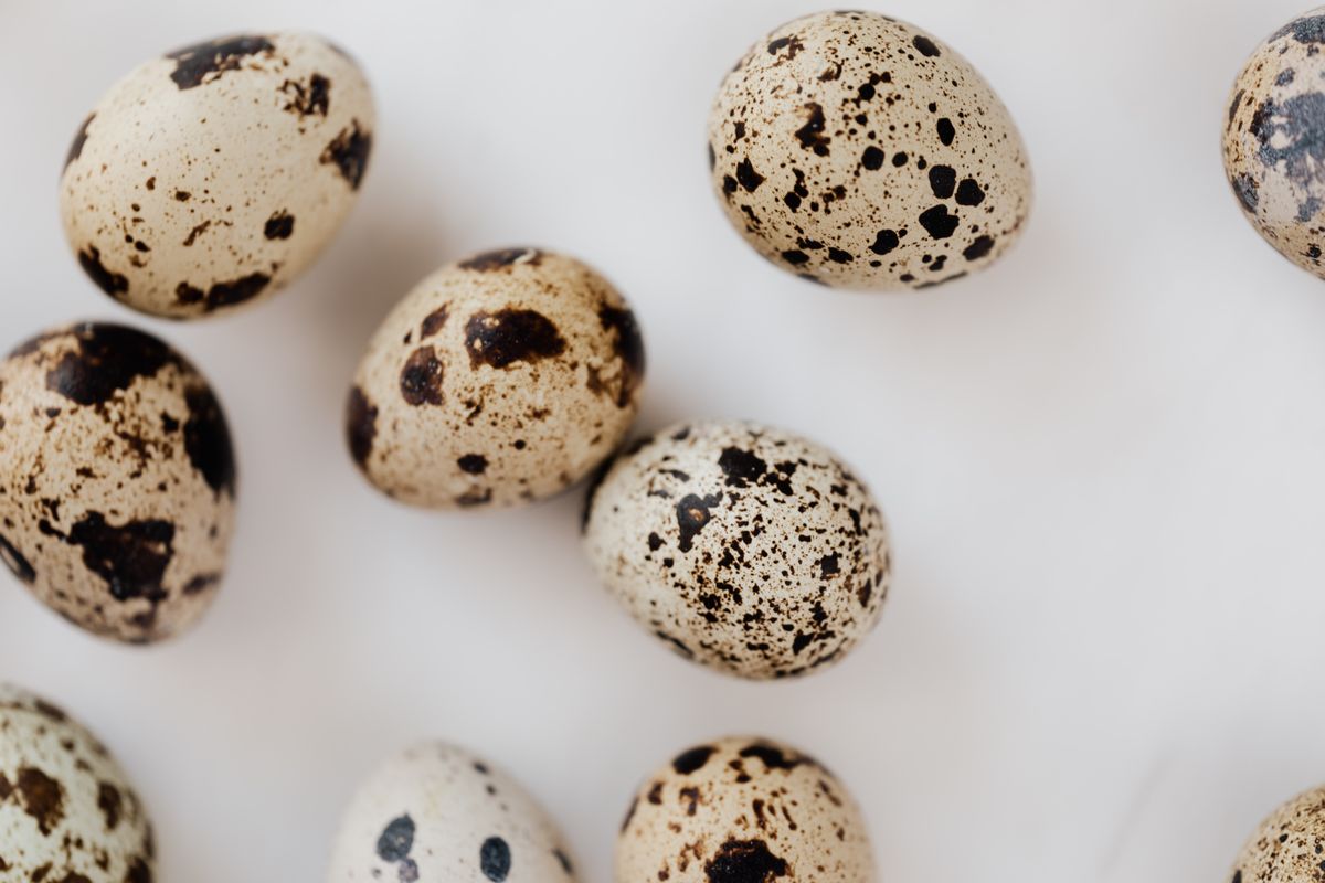 Speckled quail eggs arranged on a white surface